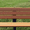 Cedar, variant on Aspen 4 foot Outdoor Bench - Durable, 100% Recycled Plastic Wood, Compact 4-Ft Size, Perfect for Patios, Gardens Parks, Schools and Commercial Outdoor Spaces (Green)