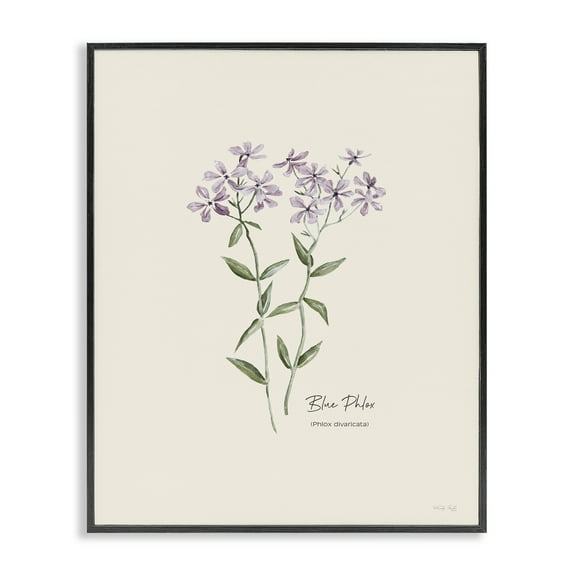 Stupell Industries Country Herb Diagram Botanical & Floral Painting Black Framed Art Print Wall Art, 11 x 14