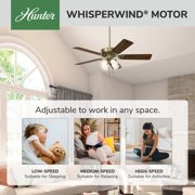 Hunter 52 inch Indoor Ceiling Fan with LED Lights and Pull Chain - Brass Ceiling Fan, Standard Mount, 5 Blades, For Bedroom, Living Room, or Kitchen, Quiet - Studio Series 53063, Antique Brass