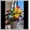 B, variant on Natural Hostas — Non-GMO — Easy to cultivate— For Home Landscape Decoration(Non-Artificial)-10 color options