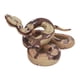 thumbnail image 3 of Juguete De Bromas De Serpiente, Juguete De Serpiente Realista Portátil Versátil Suave Para Jardín ANGGREK Otros, 3 of 8