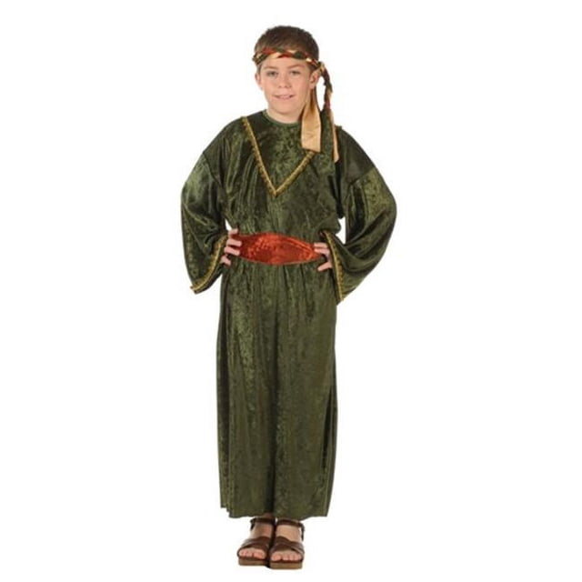 RG Costumes 90282-S Deluxe Wiseman Child Costume - Olive - Size S