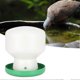 thumbnail image 2 of Automatic Bird Water Fountain Large Plastic Green Cover White Barrel Dispenser for Pigeons Parrots, 2 of 4