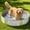 White, variant on 5-Layer Thick Foldable Pet Play Pool, Fast Setup Collapsible Water Bath Tub for Outdoor Yard Indoor Use