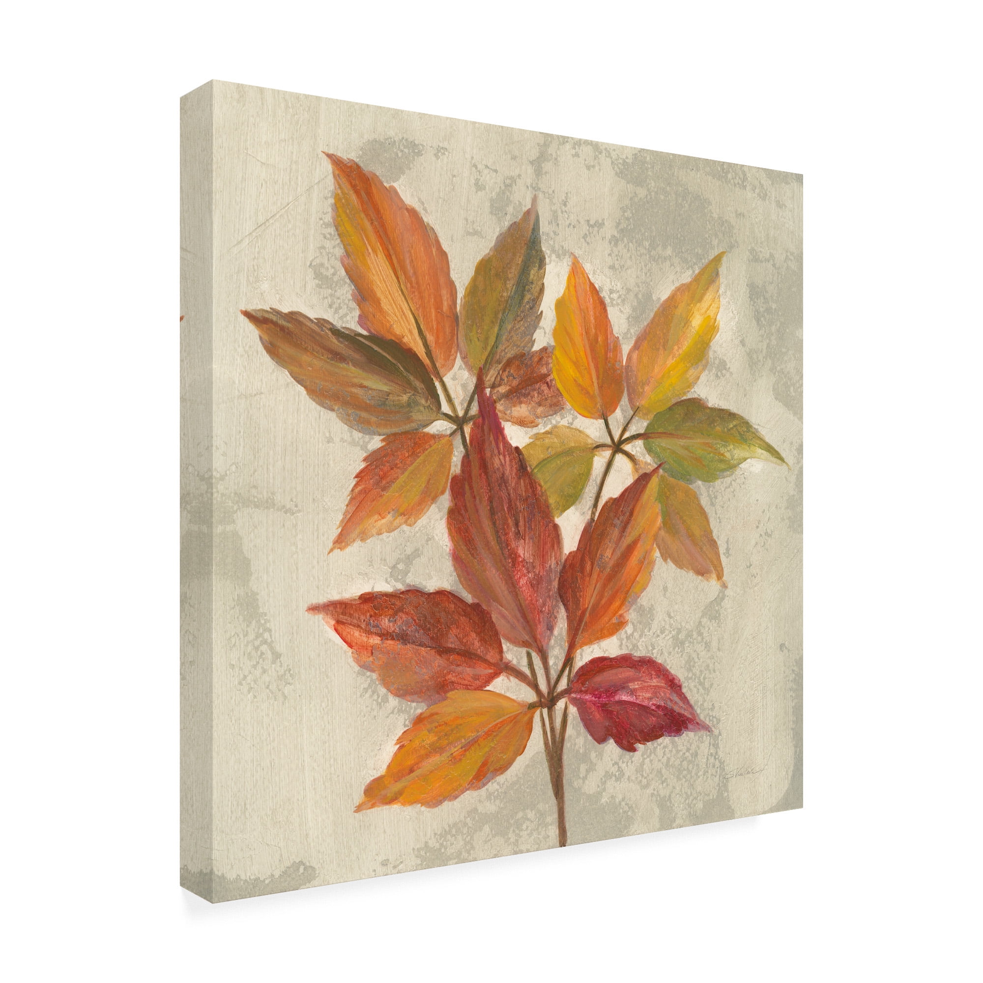Trademark Fine Art 'November Leaves I' Canvas Art by Silvia Vassileva