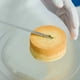 thumbnail image 5 of Xihbxyly Molde Redondo para Tartas, Antiadherente, Desmontable, Base Desmontable para Facilitar El Desmoldado, Ideal para Tartas de Queso, Magdalenas y Bizcochos, Imprescindible para Reposteros, 11 C, 5 of 7