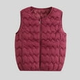 thumbnail image 2 of Plebaso Plus Size Womens Quilted Vest with Pockets Zip up Casual Sleeveless Lightweight Padded Jacket, 2 of 3