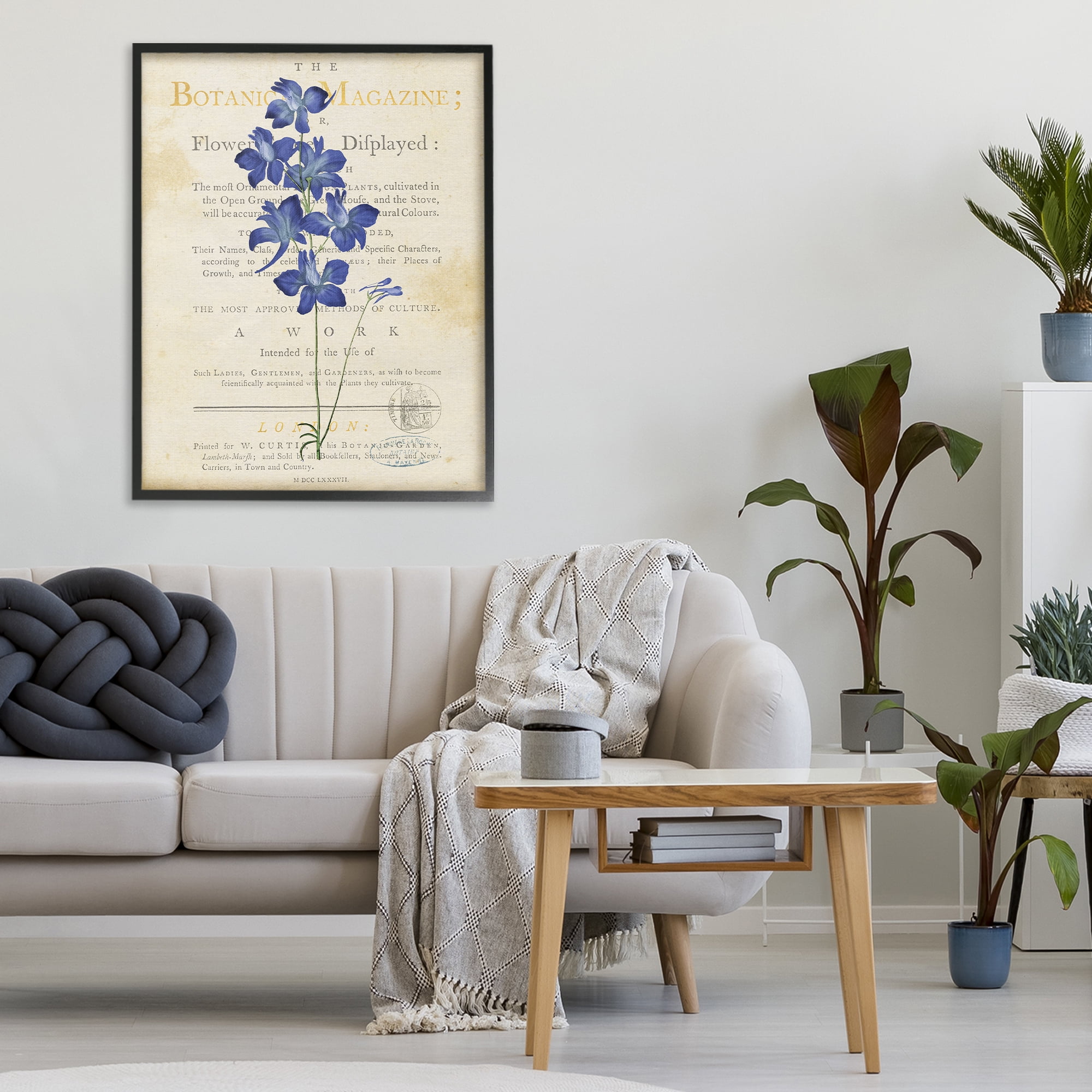 Stupell Industries Natural Botanic Garden Flower Black Framed Giclee Art, design by Susan Arnot