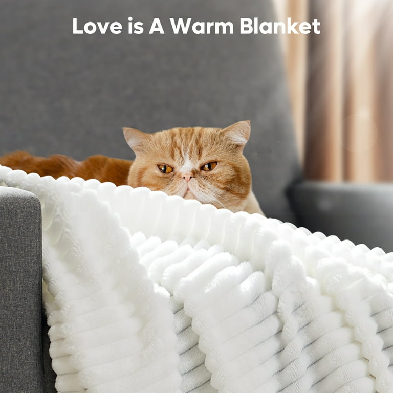 PINMOCO White Fleece Throw Blanket for Couch, Fuzzy Lap Blanket