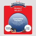 thumbnail image 5 of Armstrong Wild Bird Food Peanut Select Suet Cake, 33.9oz (Pack of 3), 5 of 6