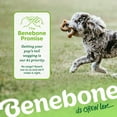 thumbnail image 6 of Benebone Tripe Bone Durable Dog Chew Toy for Aggressive Chewers, Real Tripe, Small, 6 of 6