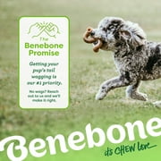 Benebone Tripe Bone Durable Dog Chew Toy for Aggressive Chewers, Real Tripe, Medium