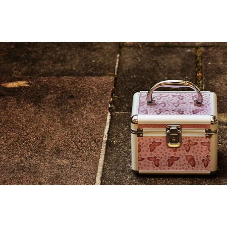 Luggage Cute Vanity Cases Silver Pink Briefcase-11 Inch By 17 Inch Laminated Poster With Bright Colors And Vivid Imagery-Fits Perfectly In Many Attractive Frames