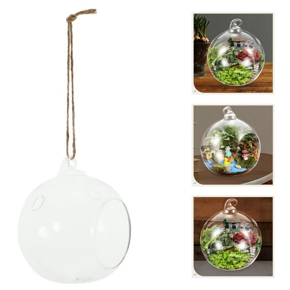 2pcs Transparent Glass Globe Terrarium for Household Hanging with Air Plant