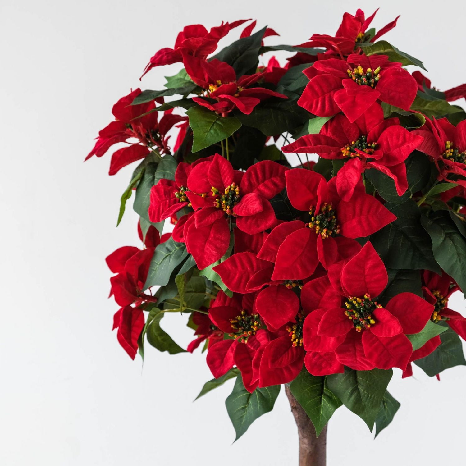 Poinsettia Tree, 59"H