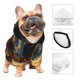 thumbnail image 3 of Fotbe Starry Night Cat Guitarist Sudadera con Estampado para Perros Pequeños – Suéter con Capucha para Mascotas, Tela Suave de Forro Polar con Bolsillo-Medium, 3 of 7