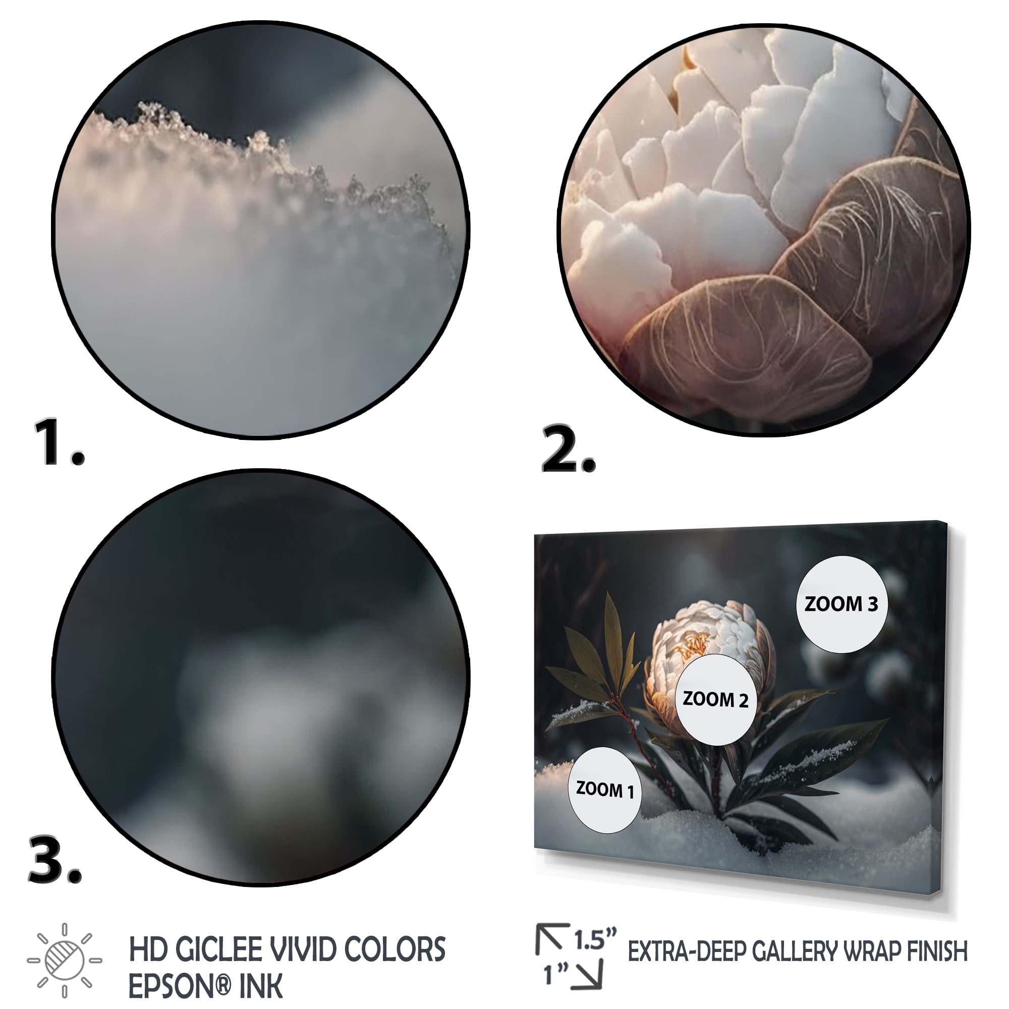 Designart A Blooming White Peony Flower In Winter III Canvas Wall Art