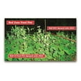 thumbnail image 2 of Antler King JOLT Foliar Fertilizer, 32 oz with Maximizes succulent forage produced in your plot, 2 of 5