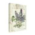 thumbnail image 4 of Trademark Fine Art 'Lilas de Printemps' Canvas Art by Sue Schlabach, 4 of 4