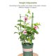 thumbnail image 3 of 1 pieza / 3 piezas / 5 piezas jardín enrejado soporte de plantas jaulas estacas para plantas trepado Abanopi TypeA/3 piezas, 3 of 7