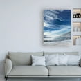 thumbnail image 3 of Trademark Fine Art 'The Lake Painting' Canvas Art by Albena Hristova, 3 of 3
