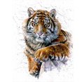 thumbnail image 2 of Cuadros Decorativos 5D DIY tigre completo cuadrado taladro mosaico diamante pintura Kit Rhinestone arte artesanía Ndcxsfigh Nuevos Originales, 2 of 8