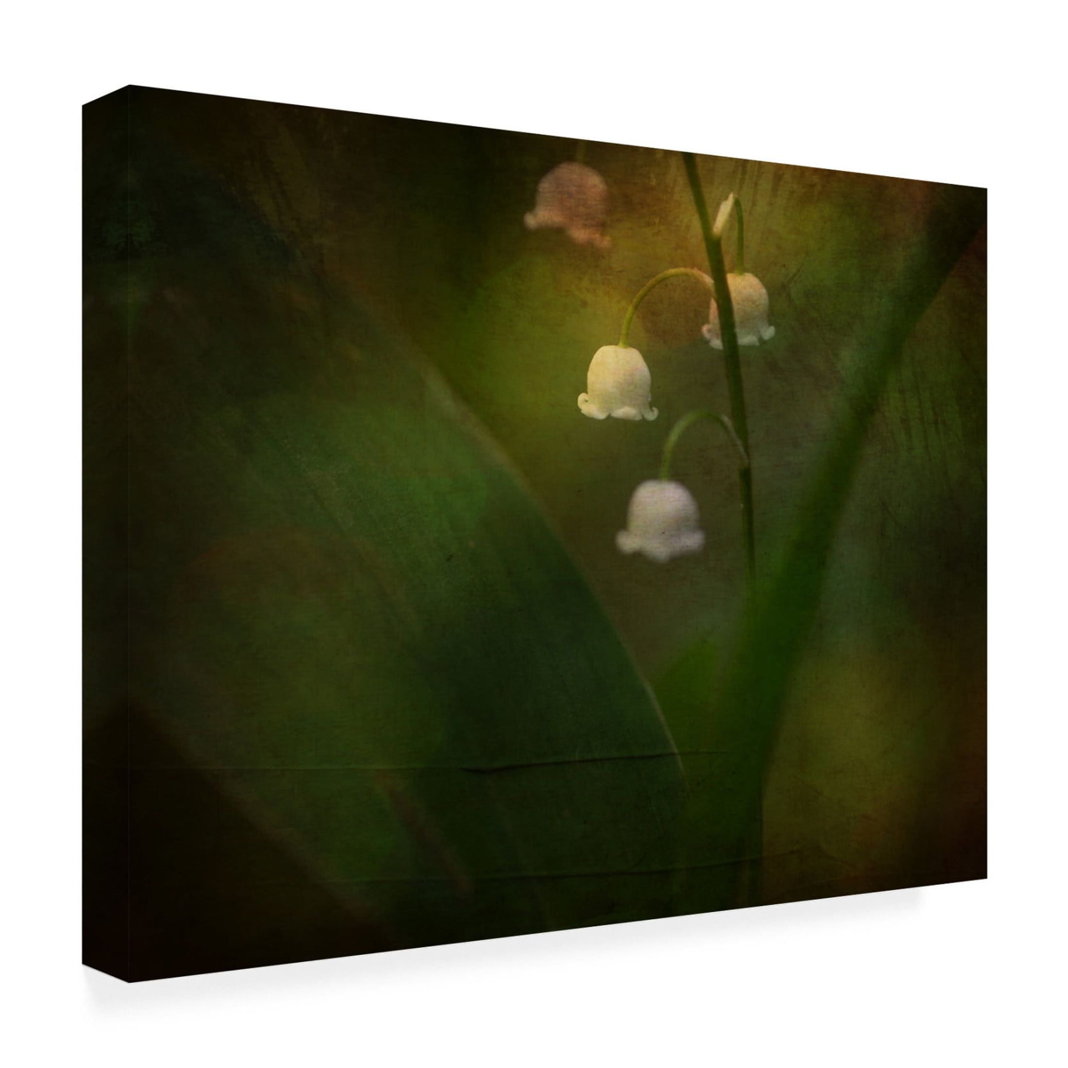 Canvas Wall Art - Ulrike Eisenmann 'Dreaming Of Spring - Lily Of The Valley' Wall Art for Living Room, Bedroom, or Office Décor by Trademark Fine Art - 24 x 18 Inches