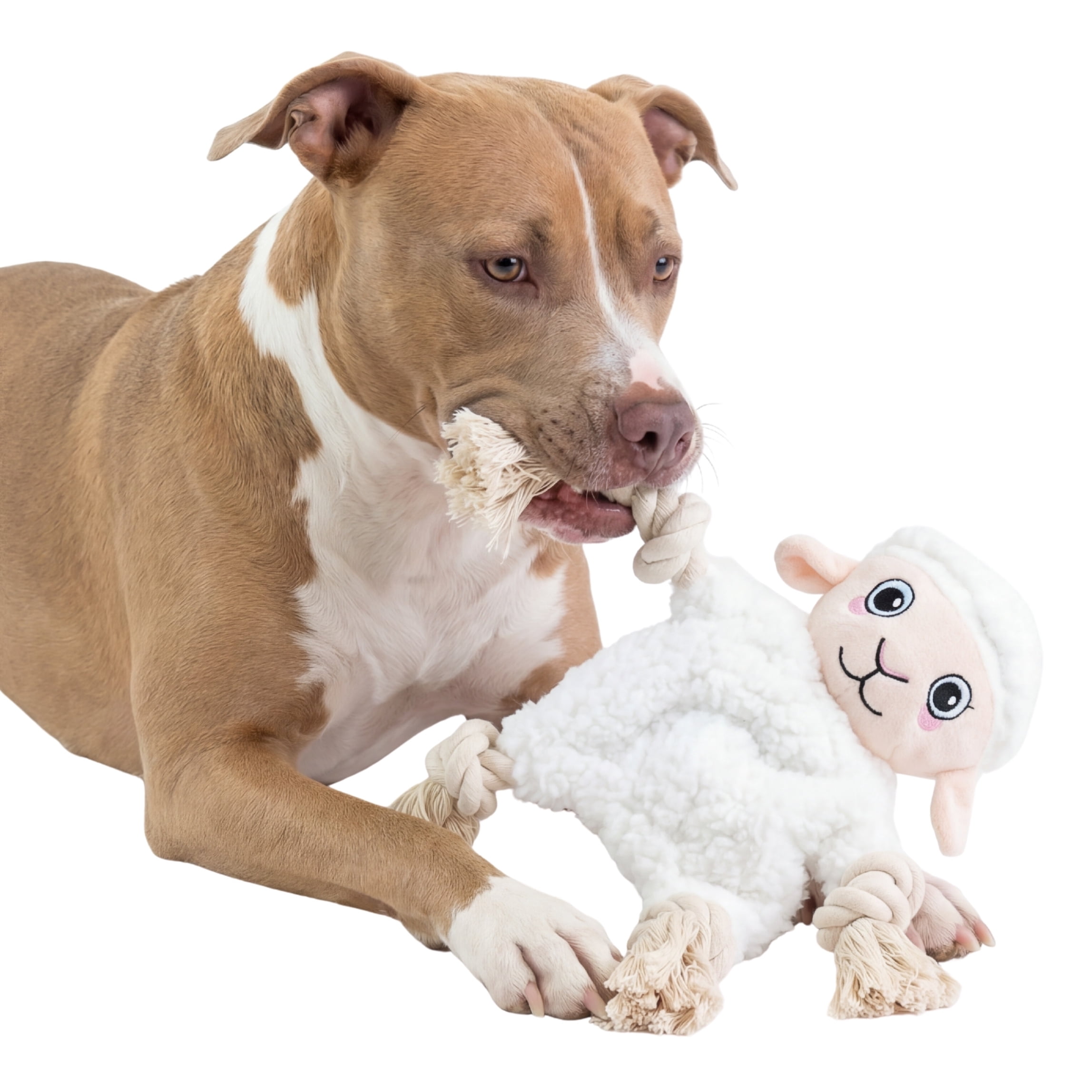 One Paw, Un Jouet en Corde pour Chien en Forme de Patte avec un Squeaker et des Coutures Durables