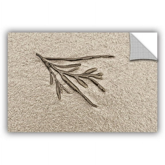 ArtAppealz Cora Niele "Beach Find III" Removable Wall Art