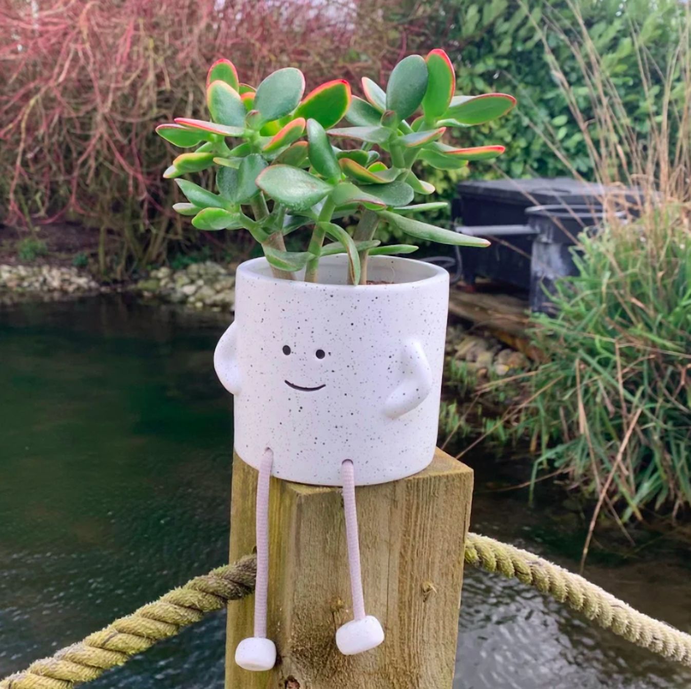 Sitting Planter w/ Rope Legs | Succulent Planter | Indoor Planter Pot | Face Pot Planter for Succulents | Rope Legs Planter | Happy Planter