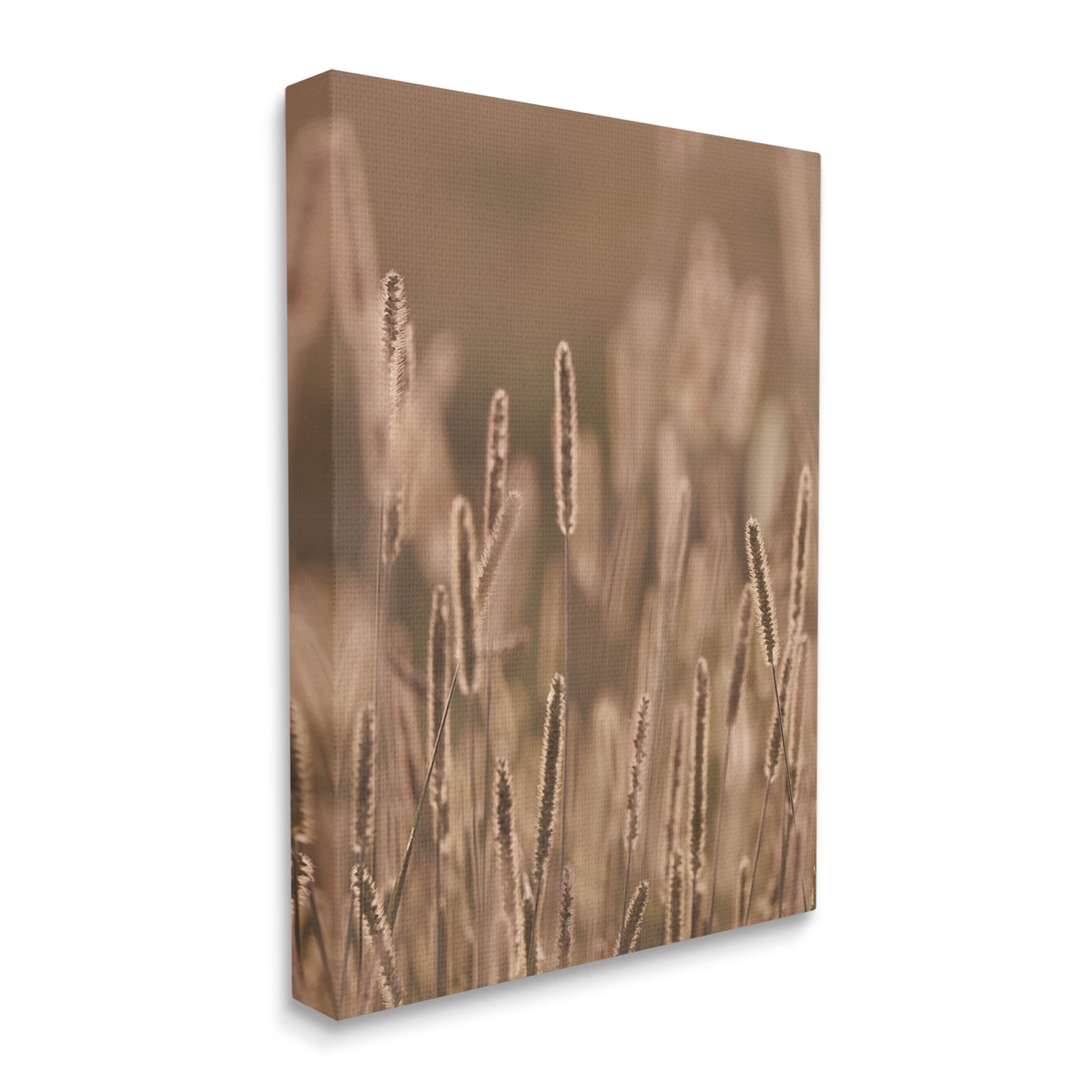 Rural Wheat Field Nature Botanical & Floral Photograph Gallery Wrapped Canvas Print Wall Art