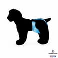 thumbnail image 5 of Barkertime Blue Stripes Dog Diaper Pull-up, 5 of 8