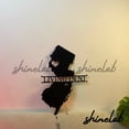 thumbnail image 2 of Shinelab New Jersey Map Metal Sign LED Wall Art, Custom Garden State Wall Decor Home Decor 9993, 2 of 3