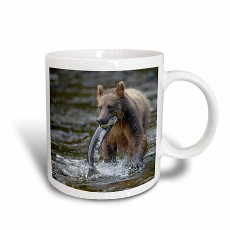 3dRose Alaska, Brown Bear, Sockeye Salmon in Pavlof Harbor - US02 PSO0624 - Paul Souders, Ceramic Mug, 11-ounce