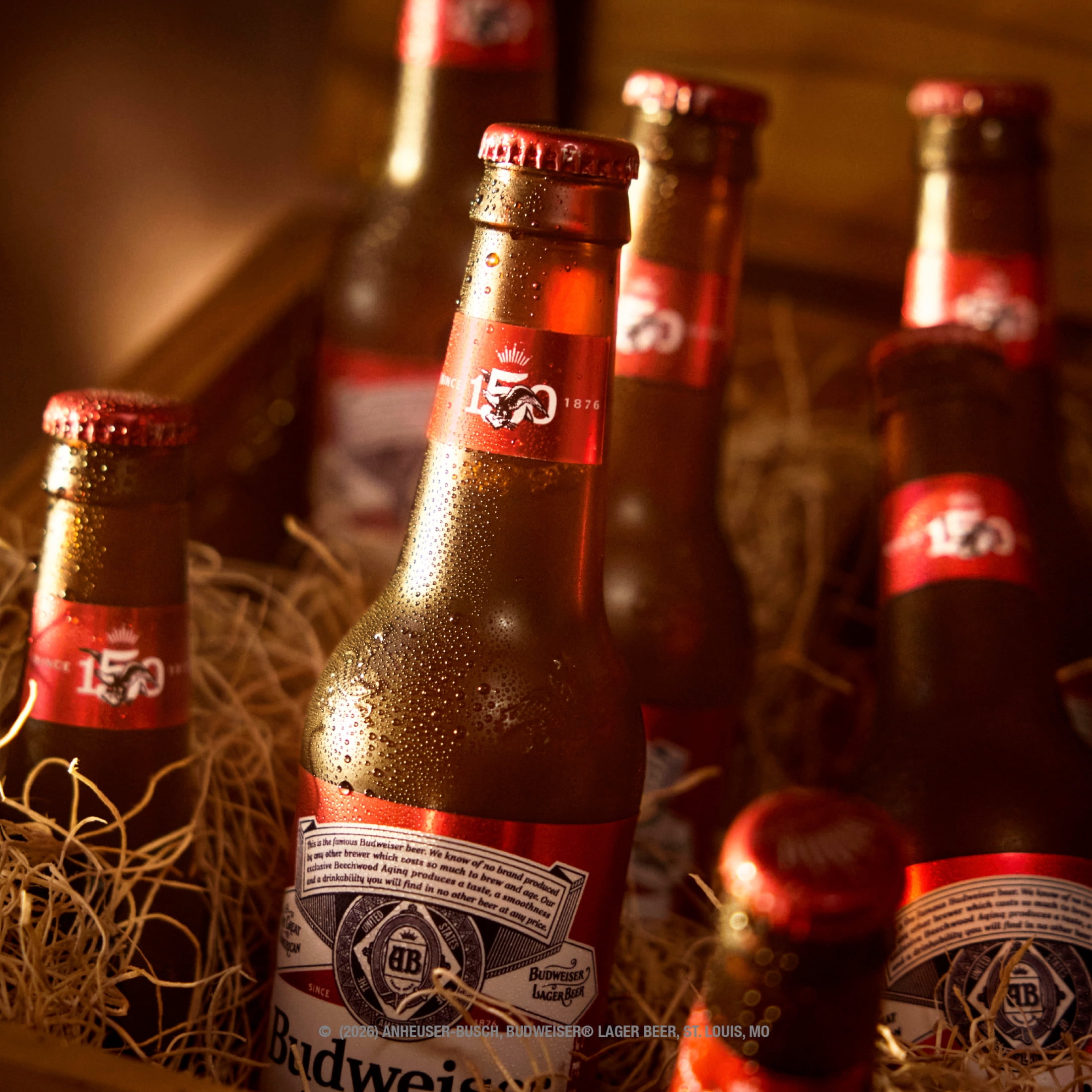 Budweiser American Lager Beer 24 pack 12 fl oz Glass Bottles 5% ABV