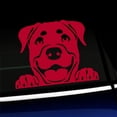thumbnail image 1 of Peeking Rottweiler - Vinyl Car Decal - Choose Color - [RED], 1 of 1