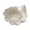 Conch A, variant on Lynono Co.,Ltd Artistic White SeaShe11Design Ceramic Plate Great For Accessories Storage