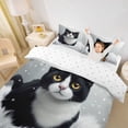 thumbnail image 3 of jejeloiu Pet Cat Queen Duvet Cover Set Kids,Cute Animal Kitten Bedding,Reversible,3-Piece(No Comforter), 3 of 6