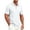 18-Light Gray, variant on Men's Short Sleeve Polo Shirt, Solid Color Collared Button Up Casual Top, Lightweight Breathable T-Shirt for Work Golf Outdoor Daily Wear 12-Vermilion XXXL