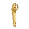thumbnail image 2 of 14k Yellow Gold Solid Brushed & Diamond-cut Lion Chain Slide Charm Pendant, 2 of 7