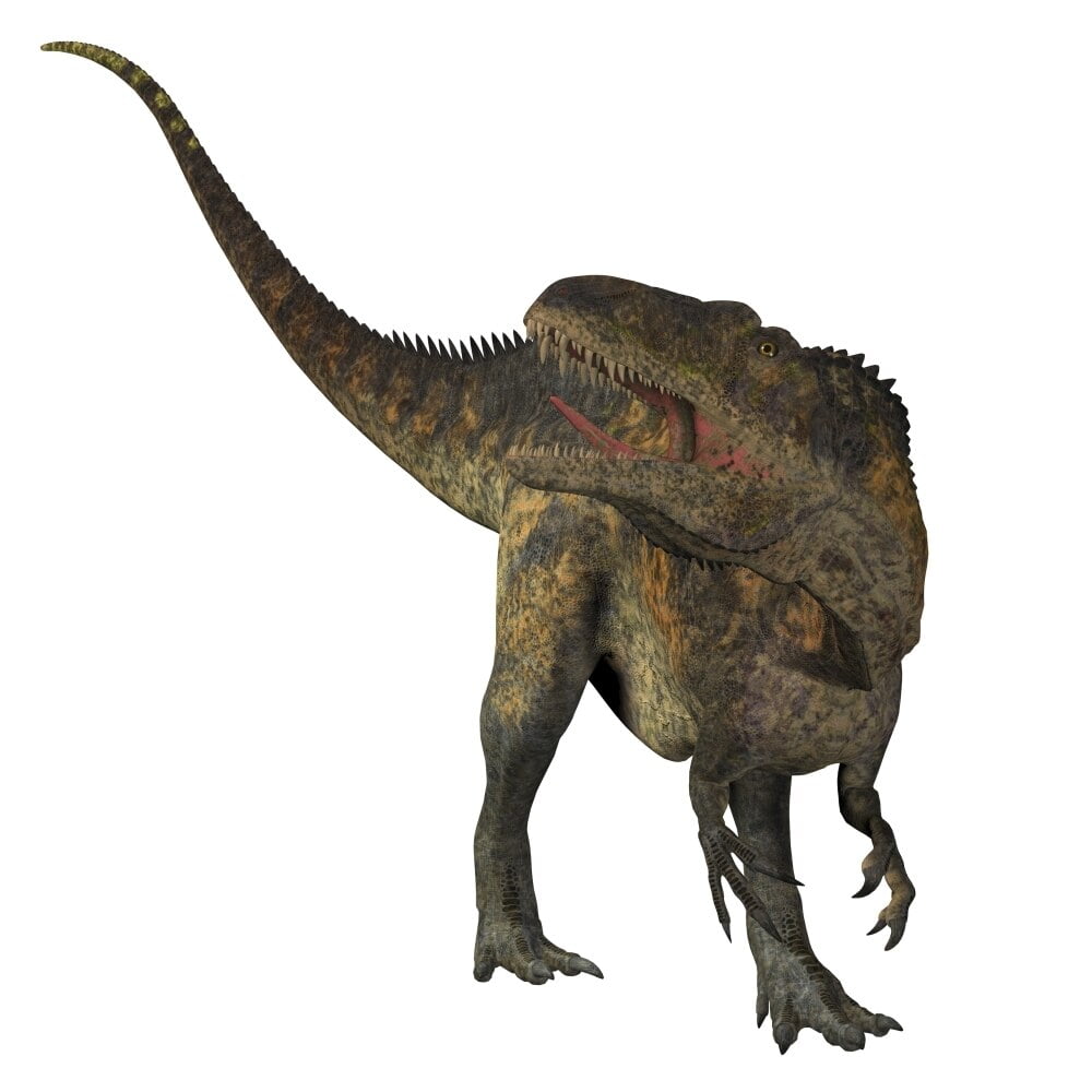 dinosaur with white cap on head