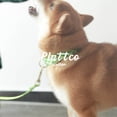 thumbnail image 5 of Apuakthei Correa de repuesto para collar de perro de tamaño mediano, color verde menta, compatible con collar de valla invisible, 5 of 5