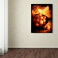 thumbnail image 3 of Trademark Fine Art 'Bowl Of Cherries' Canvas Art by Joe Felzman Photography, 3 of 3
