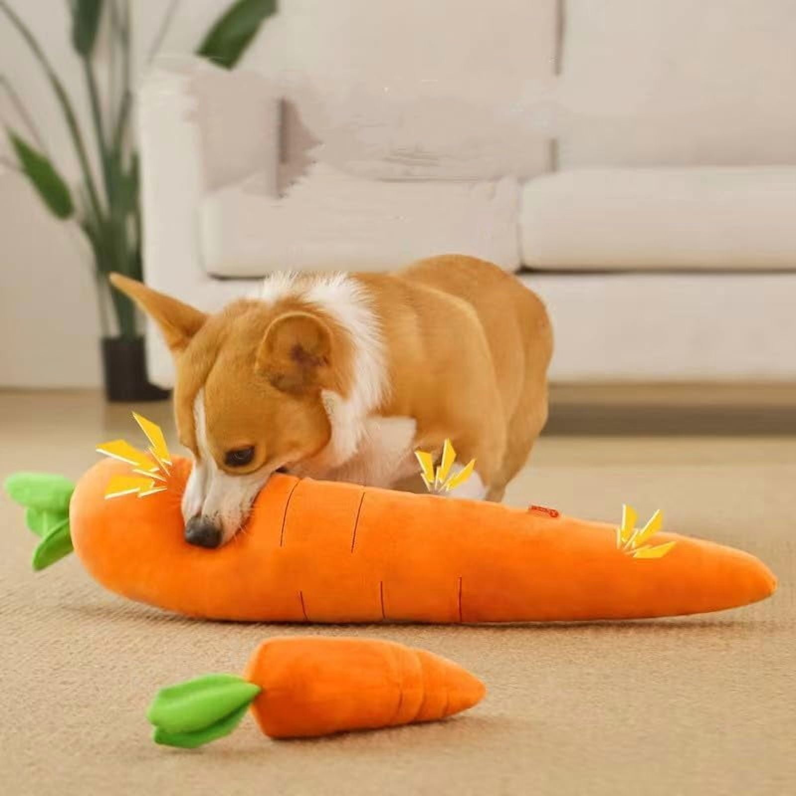 Carrot Style Squeaky Large Plush Dog Toys - Small Breed Puppy Chew Toys - Chewing Toys for Dogs - Large&Small Dog Plush Toys