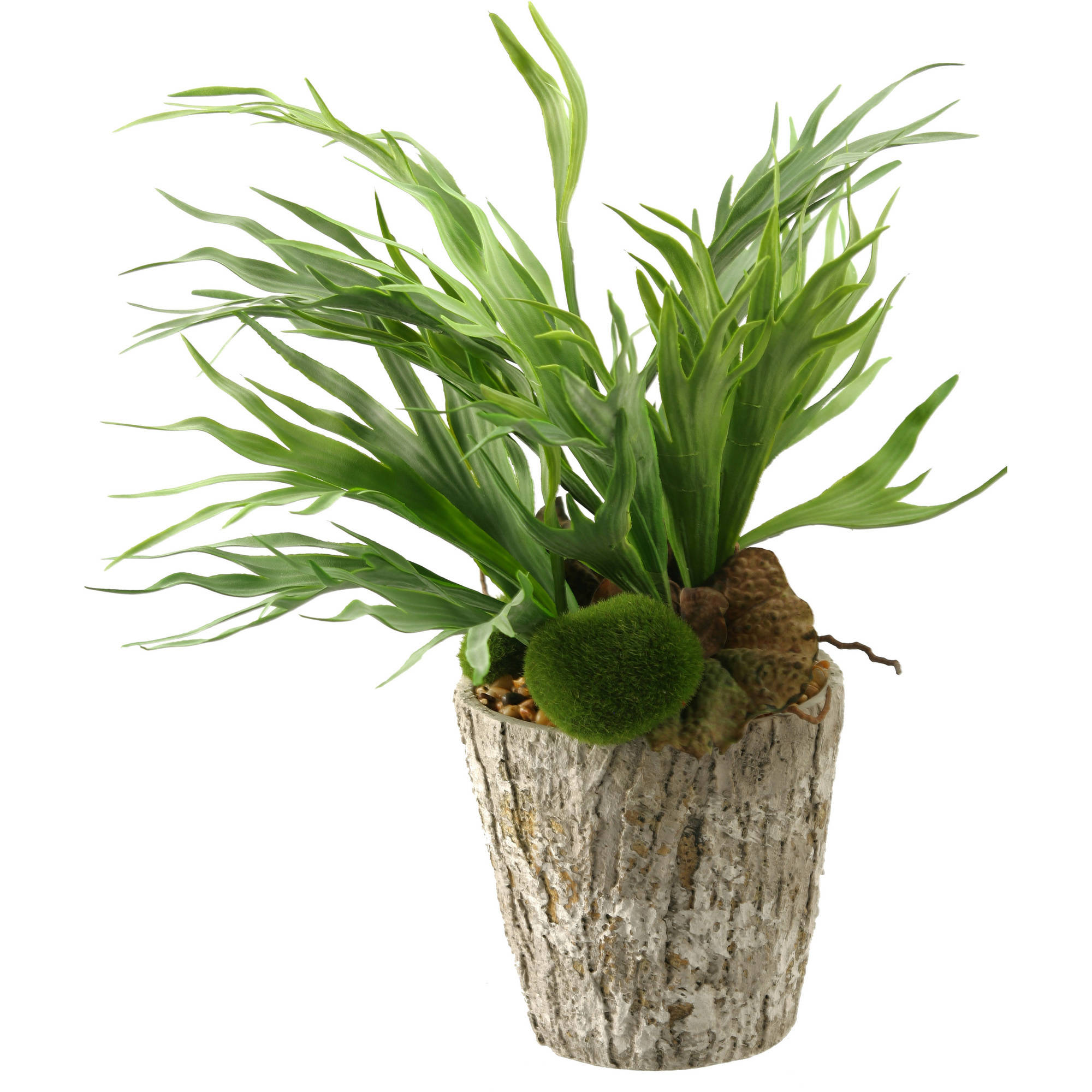 D&W Silks Mini Staghorn Fern in Weathered Oak Look Cement Planter