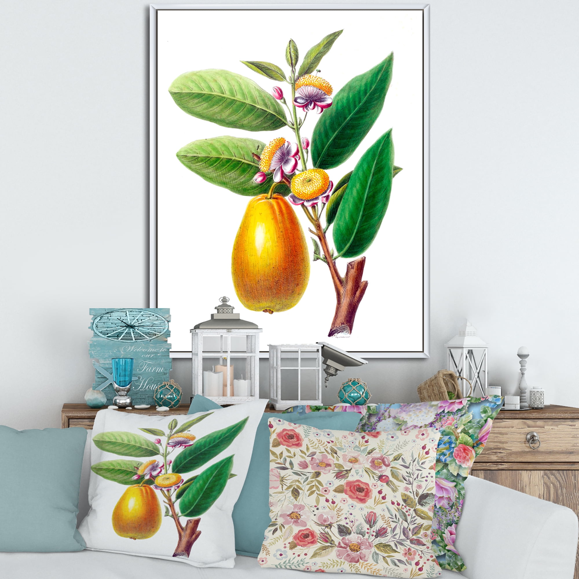 Designart 'Ancient Fruits I' Farmhouse Framed Canvas Wall Art Print