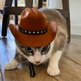 thumbnail image 4 of Adjustable Cowboy Hat With Star Accent Band For Small Dogs And Cats, Cowboy - Inspired Western - Style Pet Hat For Puppy And Kitten With Custom Adjustable Fit, Perfect For Pet, 4 of 7