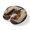 Cream, Terracotta, Onyx, Rust, variant on Neck Pillow, Black Pumpkins Halloween Memory Foam U-Shaped Travel Pillow for Airplane Car Train Office Nap, Portable Soft Head Neck Support for Sleeping & Reclining Purple Gnomes Dead Trees