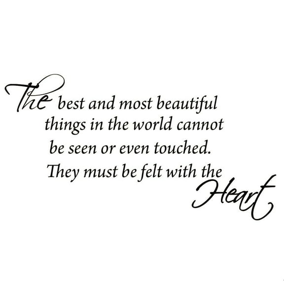 VWAQ The Best and Most Beautiful Things in the World Cannot be Seen or Even Touched. They Must Be Felt with the Heart. Inspirational Wall Decal Home Decor Quote Vinyl Wall Decals
