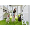 thumbnail image 5 of Modern Countryside Chicken Coop, 5 of 9